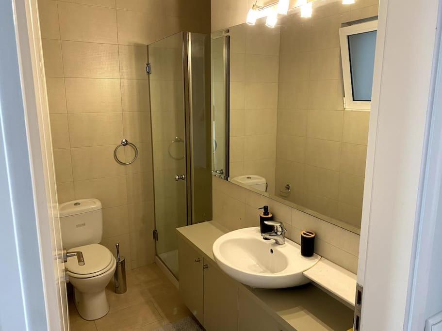 Spacious And Sunkissed 3Br & 2 Bathrooms Apartment アテネ エクステリア 写真